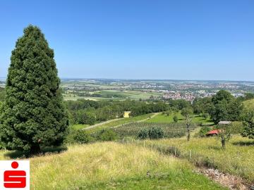 Heuberg, Pfedelbach, Pfälzerwald, Hessen, Bundesland