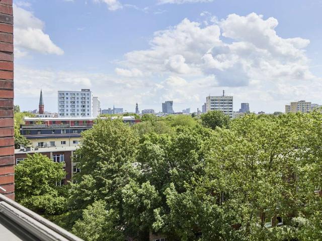 Weitblick über Hamburg