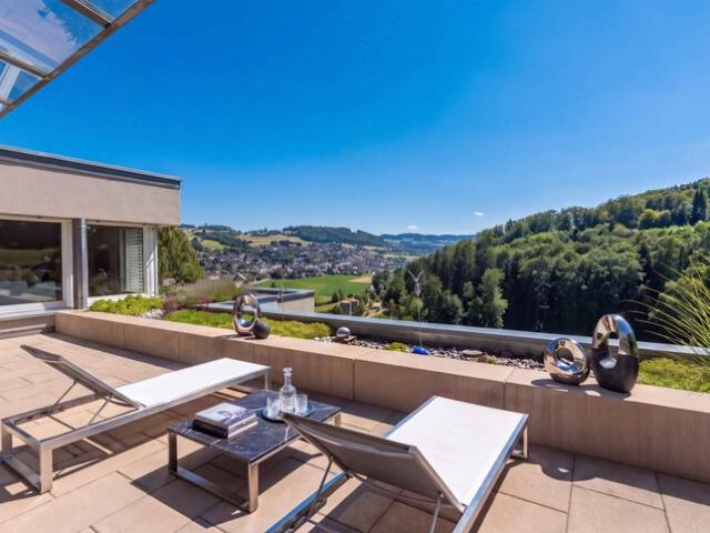 WEITSICHT UND BLICK INS GRÜNE 4.5 ZIMMER TERRASSENHAUS IN OSTERMUNDIGEN