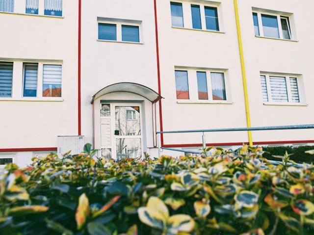 Weihnachten im neuen Zuhause?