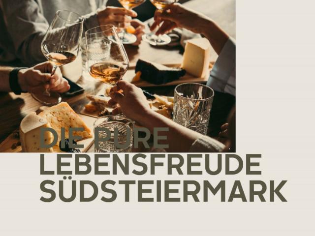 Weinregion Südsteiermark: Renditestarke Wohnung mit Blick auf Schloss Ehrenhausen!