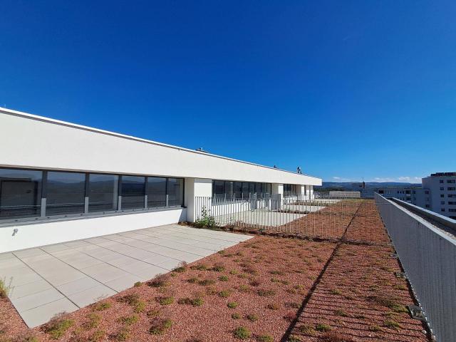 WEINZIERL XIII B 77