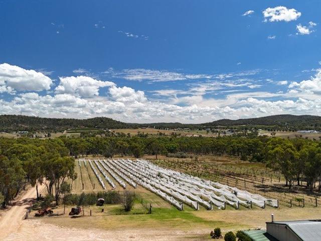 Welcome to one of Qld's Premium Tourist Areas Ballandean just South of Stanthorpe