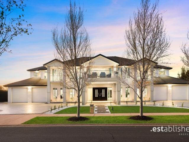Welcome to The Manor