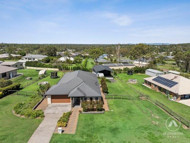 Welcome to The Redgum