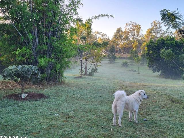 Welcome to your tranquil, cosy, comfy homestead on 40 acres of regenerating forest