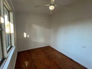 Tuggerah Lake, Jilliby, Wyong Region, Snapper Island