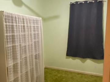Welcome to 11 Zamia Street