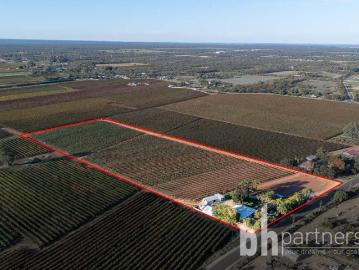 Monash, Berri Barmera, Loxton Waikerie, South Australia