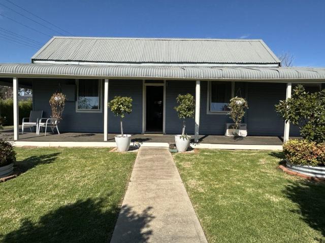 Welcome to 50 Whitehead Street