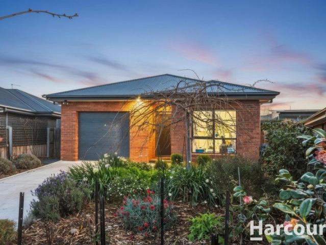 Welcome to 7 Boultbee Place, Rokeby