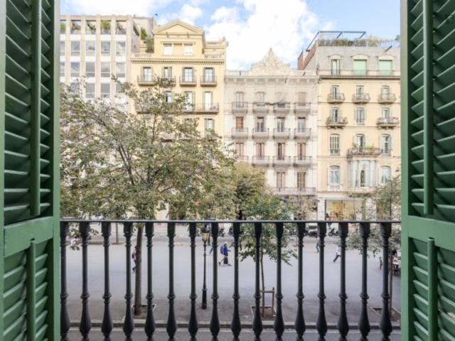 Welcoming 1 Bedroom Apartment close to University of Barcelona