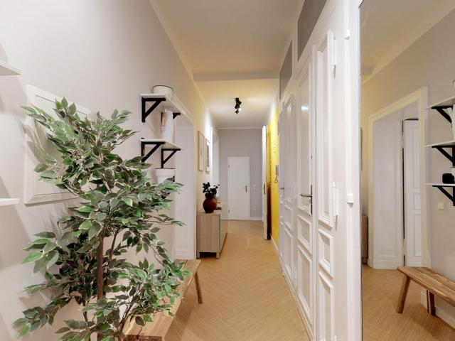 Welcoming studio near Rosenthaler Platz metro station