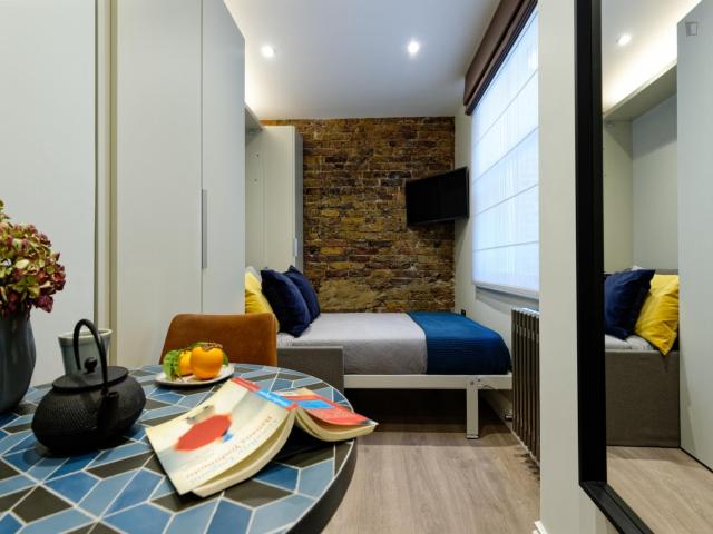 Welcoming studio close to the famous Madame Tussauds Museum Has an Apartment