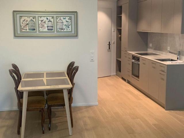 Well Connected Apartment in Zurich Oerlikon – 2 Minutes from Station, Zurich Amsterdam Apartments for Rent