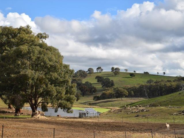 Well Improved Affordable Tablelands Grazing Country