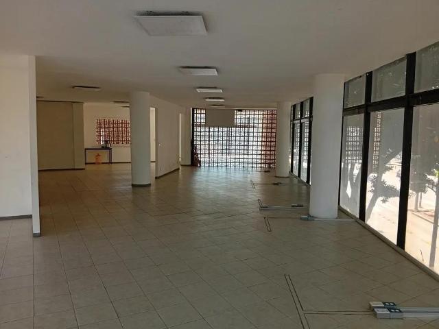 Wellness Hub Roma Sur: El Epicentro Estrat?gico para tu Pr?ximo Nivel de Negocio