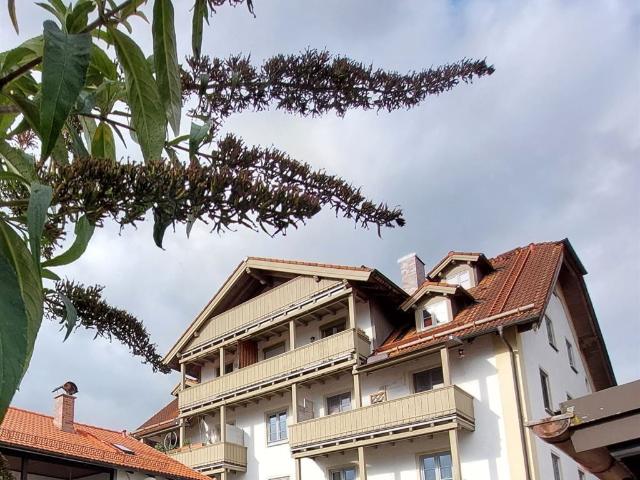 Werthaltige Immobilie zur Kapitalanlage: Kernsanierte, vermietete 2 3 Zim. Whg. in ruhiger Stadtlage mit schönem Bergblick und seriösem Mieter