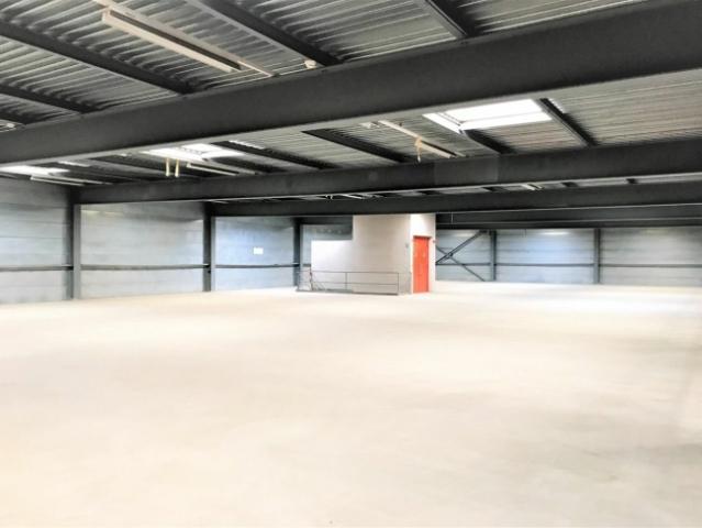 Büro /Lagerfläche von 655 m2, teilbar ab 150 m2