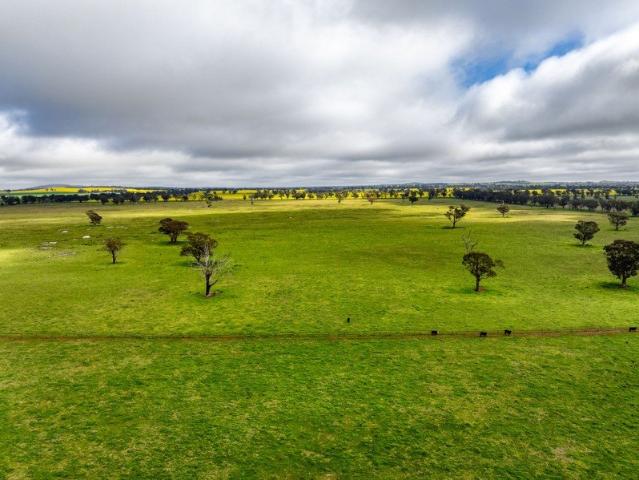 'West Ardnaree' Approx. 1,207 Acre Productive Grazing Country
