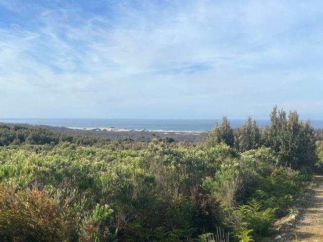 West Coast Hinterland