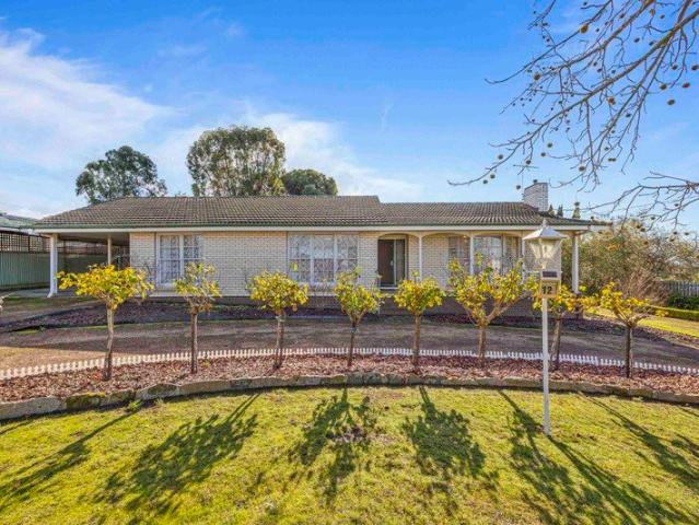West End Opportunity on a Generous 2,043m² approx. Allotment Space, Comfort & Potential