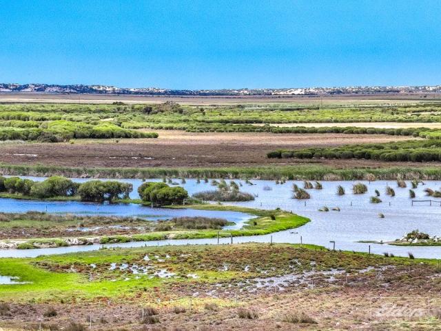 Wetlands, Water Views & 3 Titles