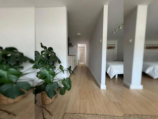 Whole 1 bedroom apartment in Sopela