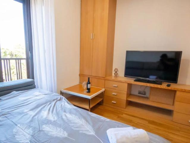 Whole 1 bedrooms apartment in Madrid