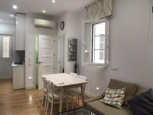 Whole 1 bedrooms apartment in Madrid
