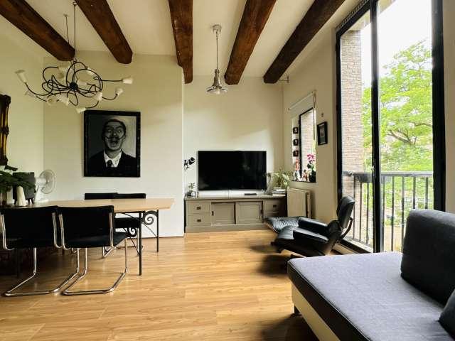 Whole 2 bedrooms apartment in Amsterdam