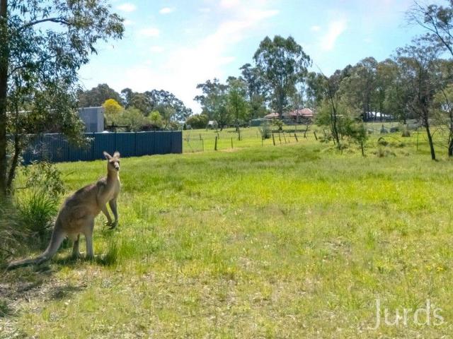 What's that, skip? An acre in town?