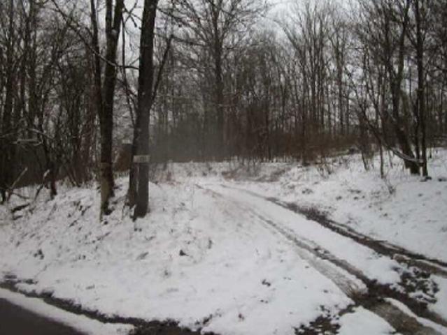 Wharton Furnace Rd