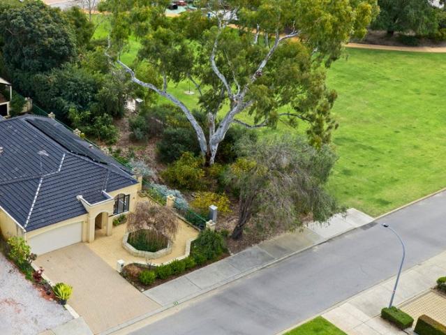 Where the Trees Are Tall and the Renovation Is Done for You