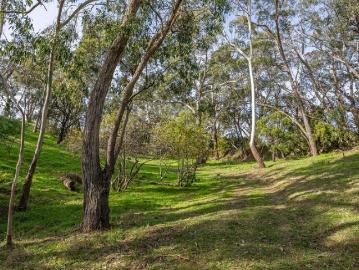 Where wild beauty meets build ready possibility on some 10 acres