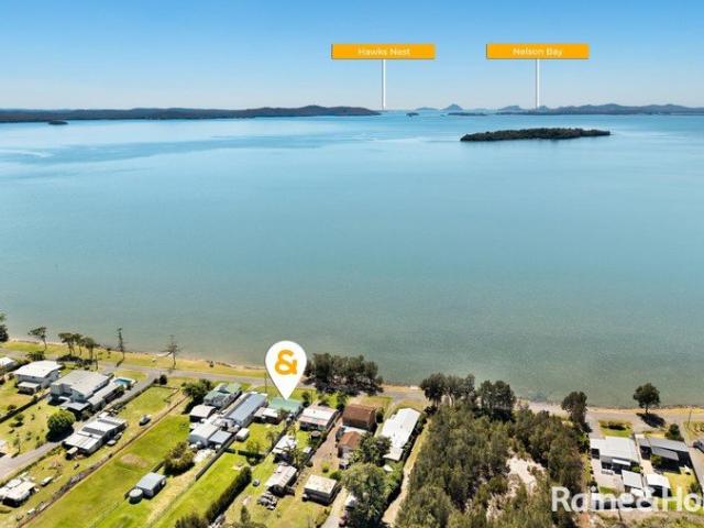 Where Calming Water Views Meet Swimming Dolphins
