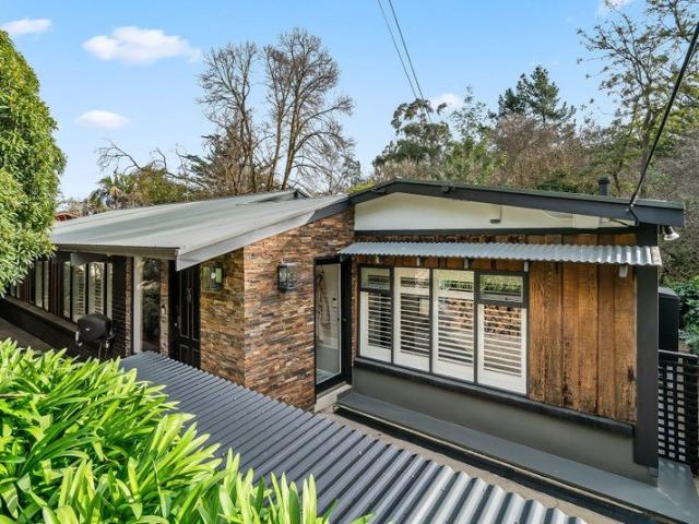 Where Contemporary Luxury Meets the Treetops