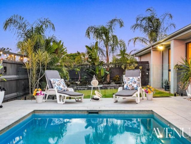 Where Every Afternoon Feels Like a Five Star Escape