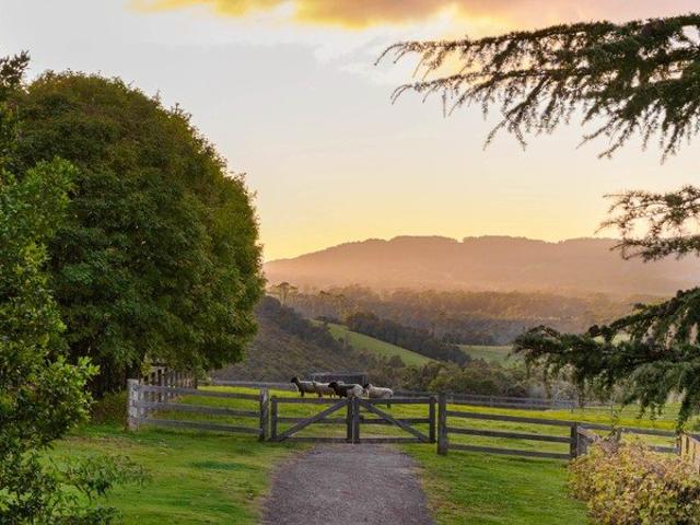 Where Garden Romance Meets Refined Country Living