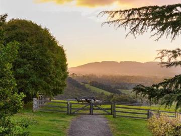 Where Garden Romance Meets Refined Country Living