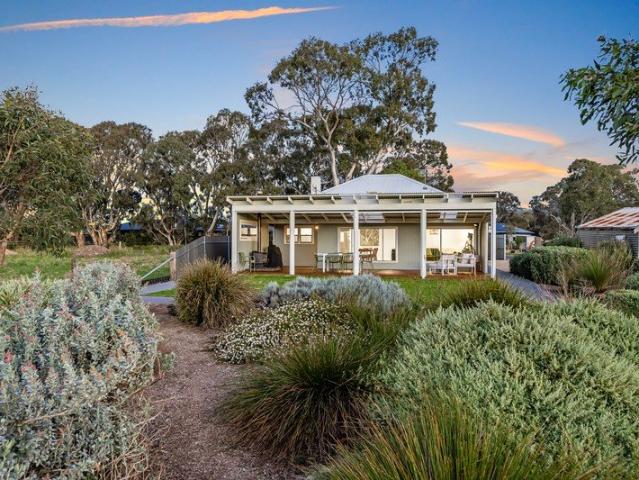 Where Kangaroos Graze and Reservoir Sunsets Glow
