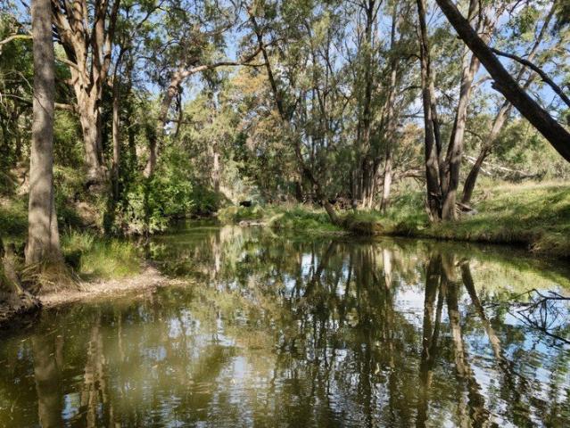 WHERE LAWSON CREEK MEETS MUDGEE'S DOORSTEP