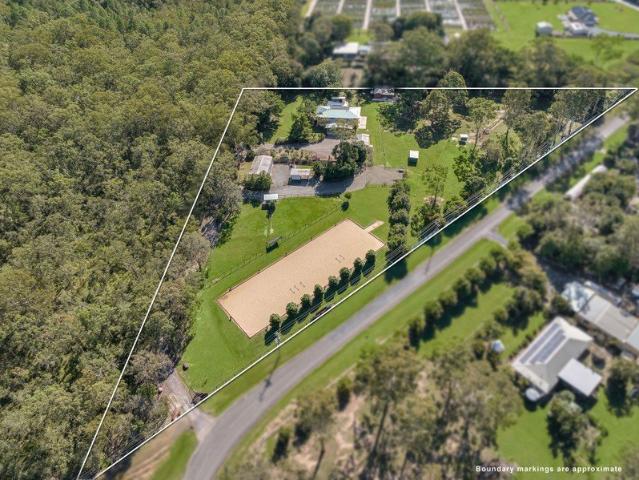 Dual living home, Large sheds, pool and a horse lovers dream!