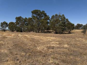 Bowenvale, Central Goldfields, Victoria