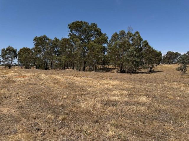 WHERE OPEN LAND MEETS NATURAL BEAUTY