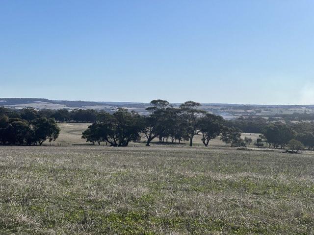 Where Opportunity Meets Lifestyle ~ Homestead Potential on 88 Tranquil Acres near Toodyay