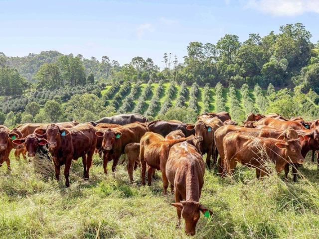 Where Productive Farming Meets Exceptional Lifestyle