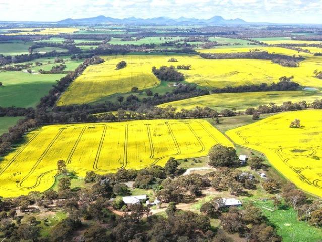 Where Productive Soils Meet Prime Location