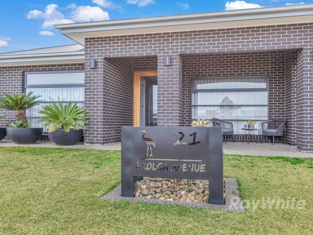Where Resort Style Living Meets Everyday Family Comfort