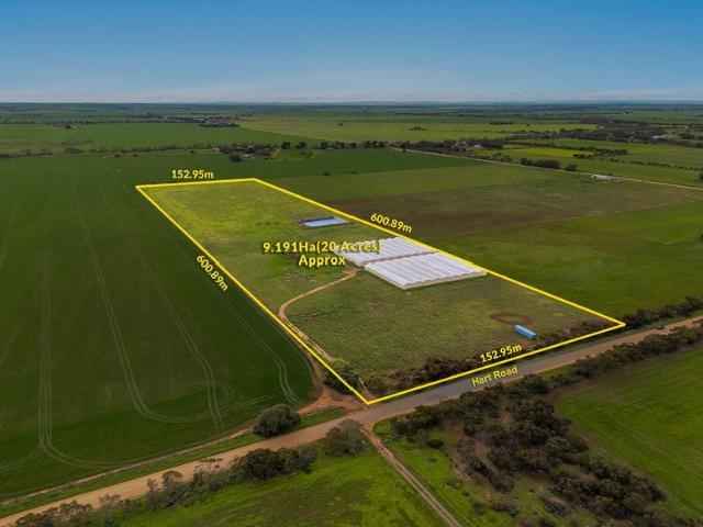 Where Scale Meets Opportunity in the Heart of South Australia's Horticultural Region